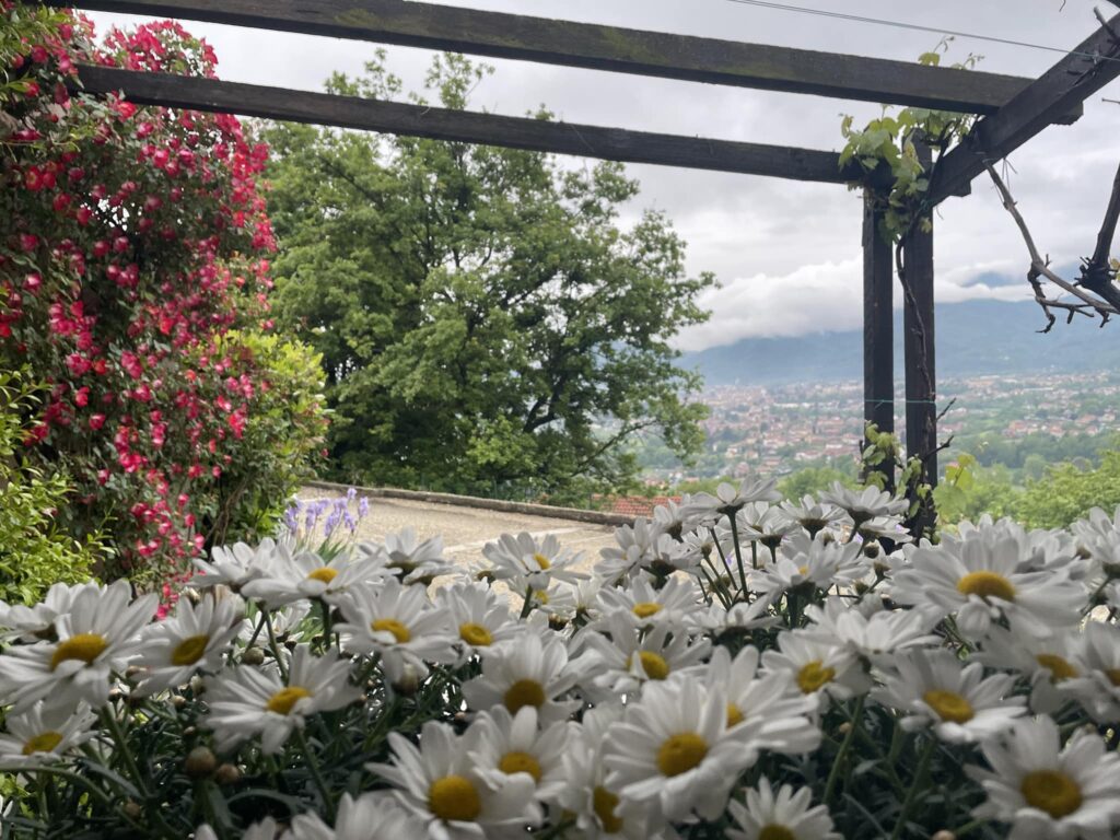 Piantiamo fiori di Libertà e Speranza