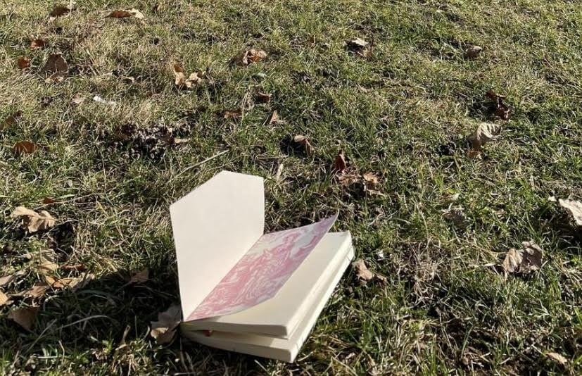 Perché vai sempre nei boschi?